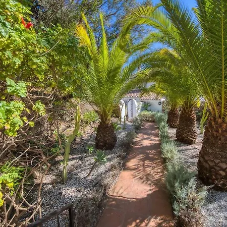 Alberca Villa Málaga